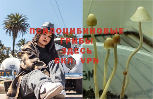 MESCALINE Абаза