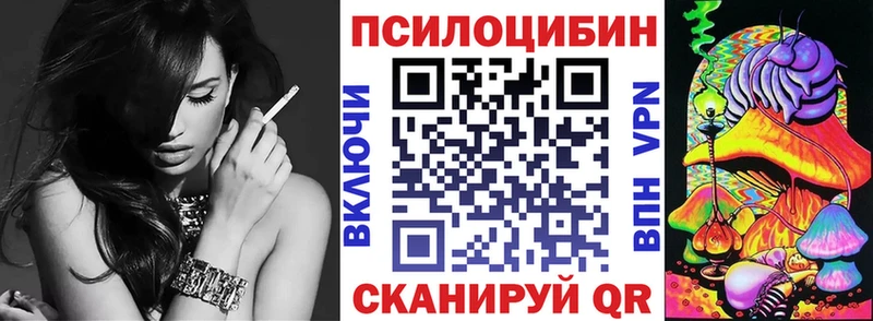 сайты даркнета Telegram  Ленинградская  Галлюциногенные грибы Psilocybine cubensis 
